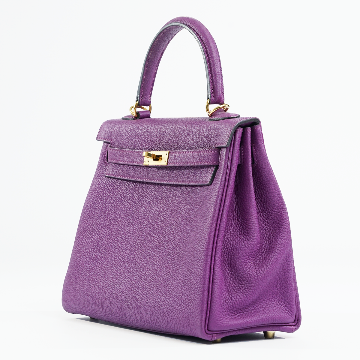 Kelly 25 Anemone
