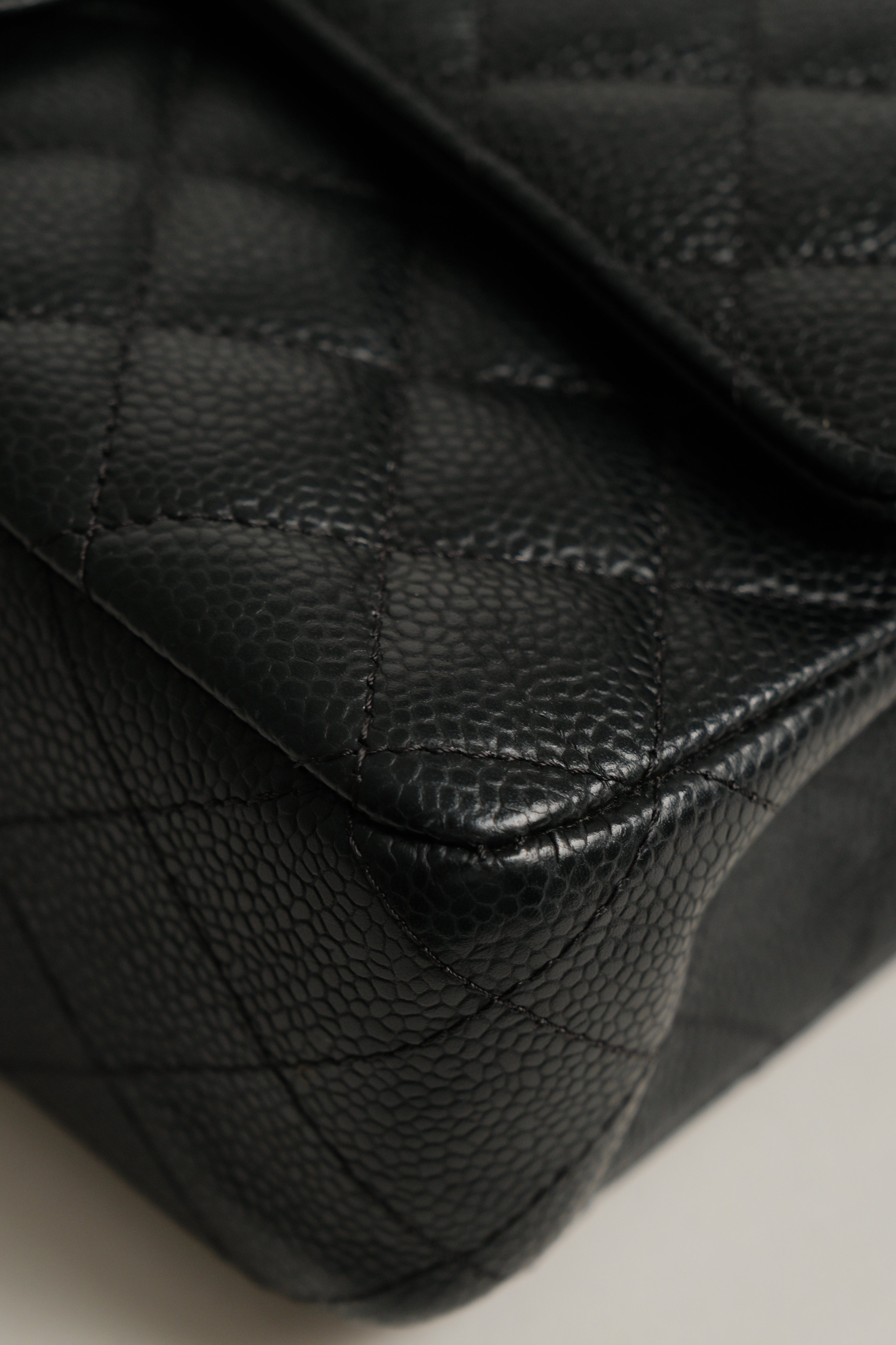 Classic Medium double Flap Microchipped