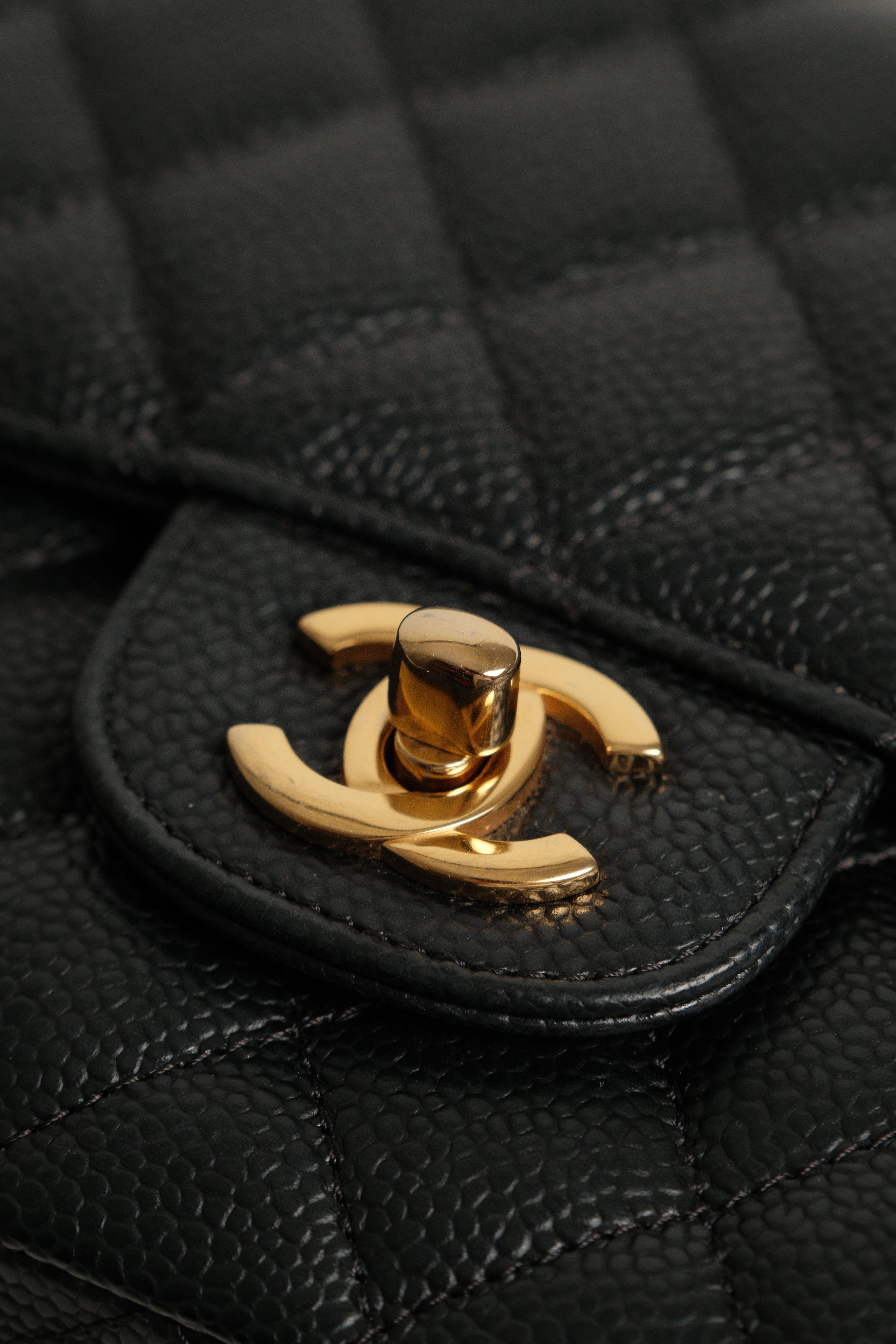 Classic Medium double Flap Microchipped