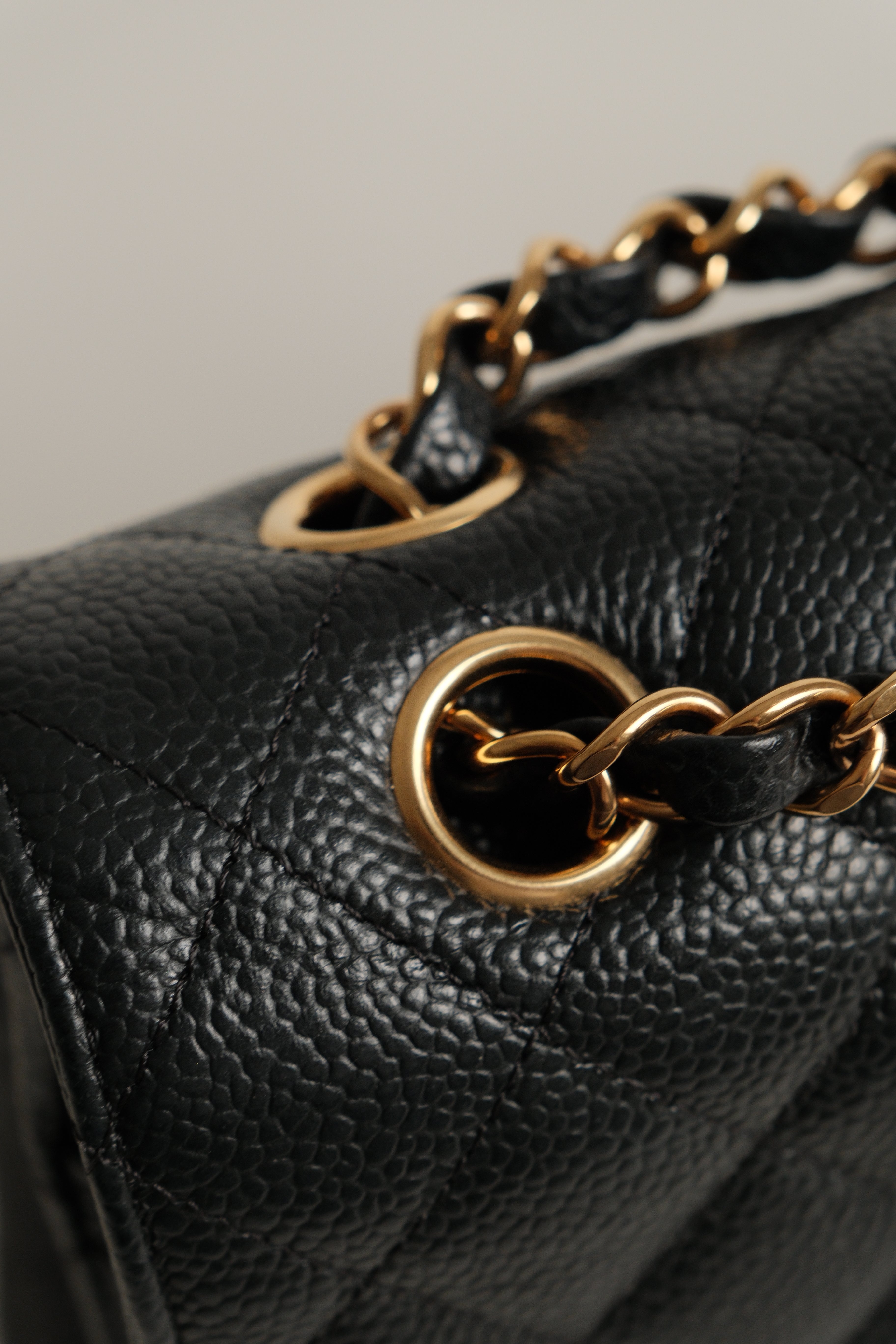 Classic Medium double Flap Microchipped