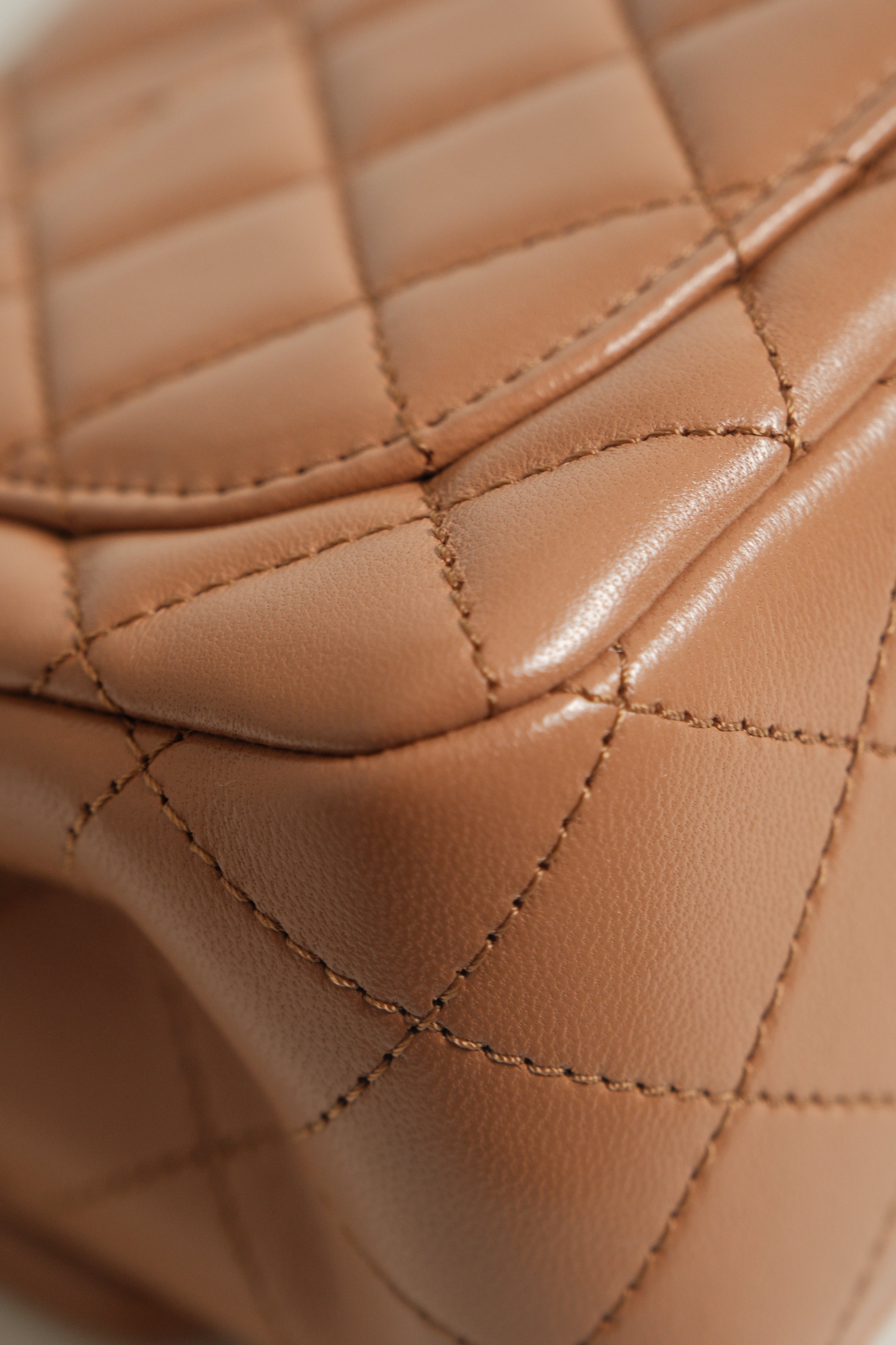 Mini Flap - CC Crush Adjustable Strap