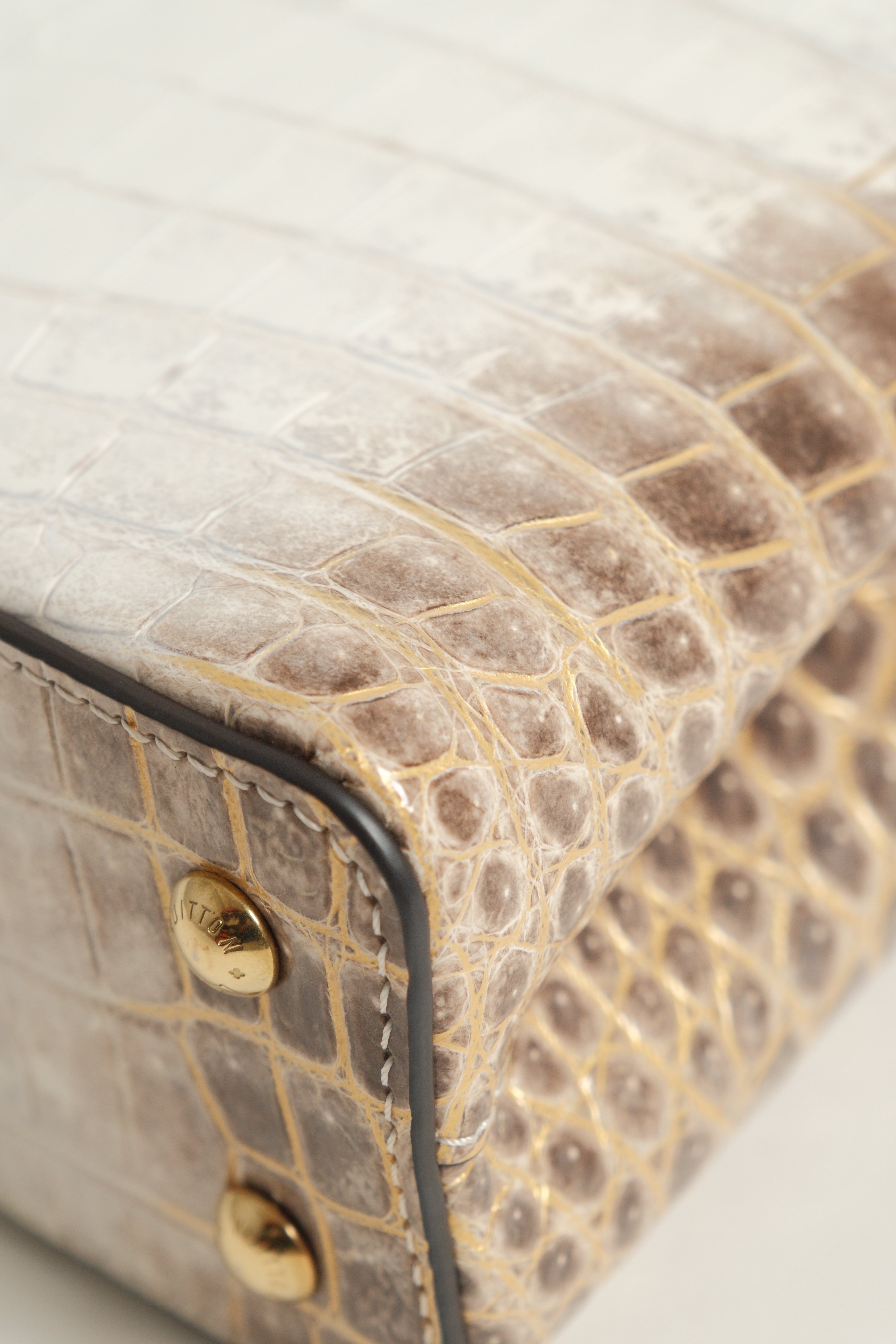 Mini Capucines Himalaya