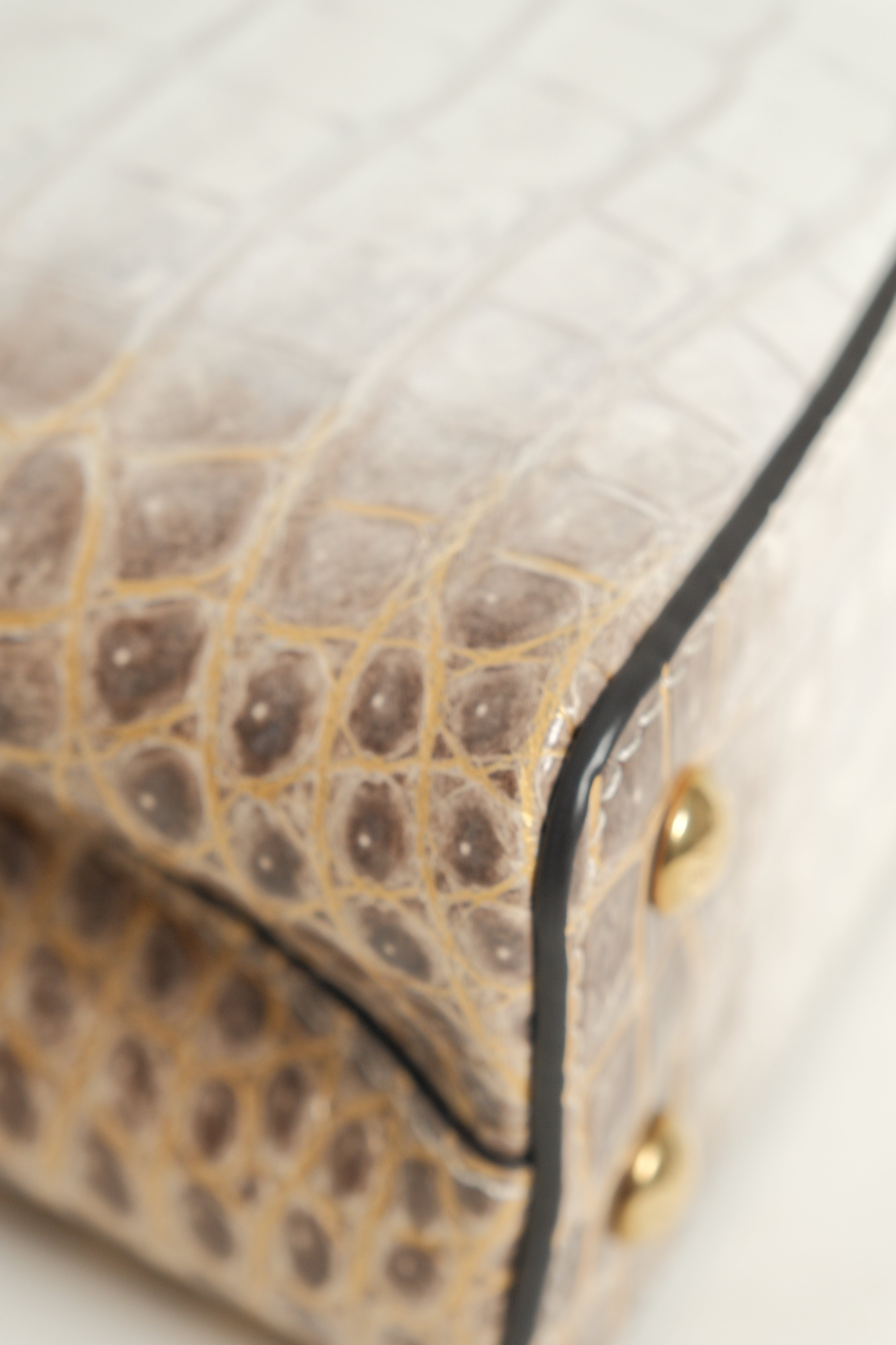 Mini Capucines Himalaya