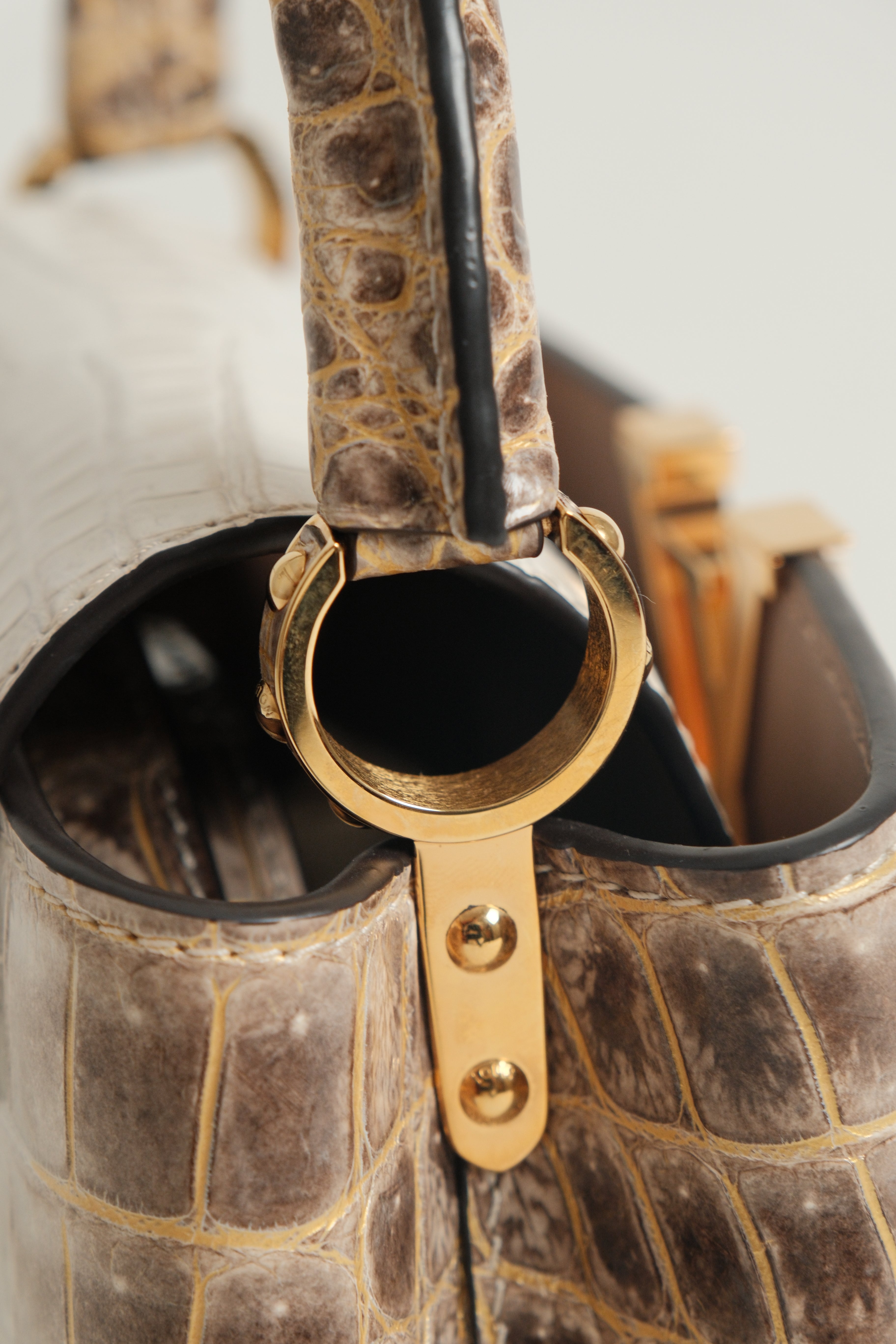 Mini Capucines Himalaya