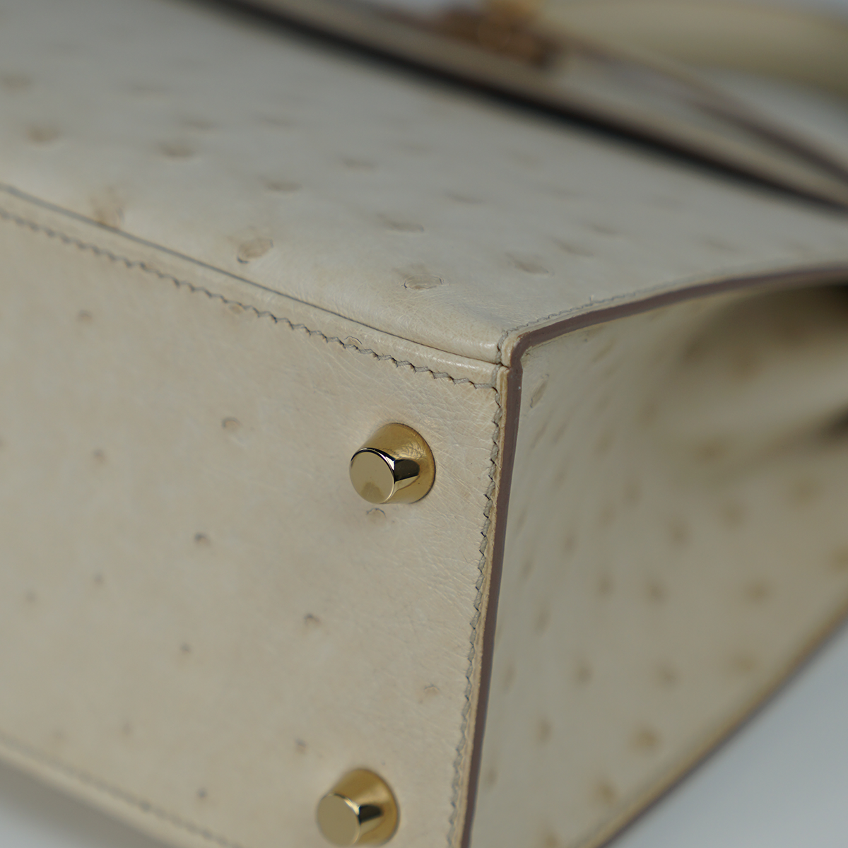 Kelly 25 Ostrich