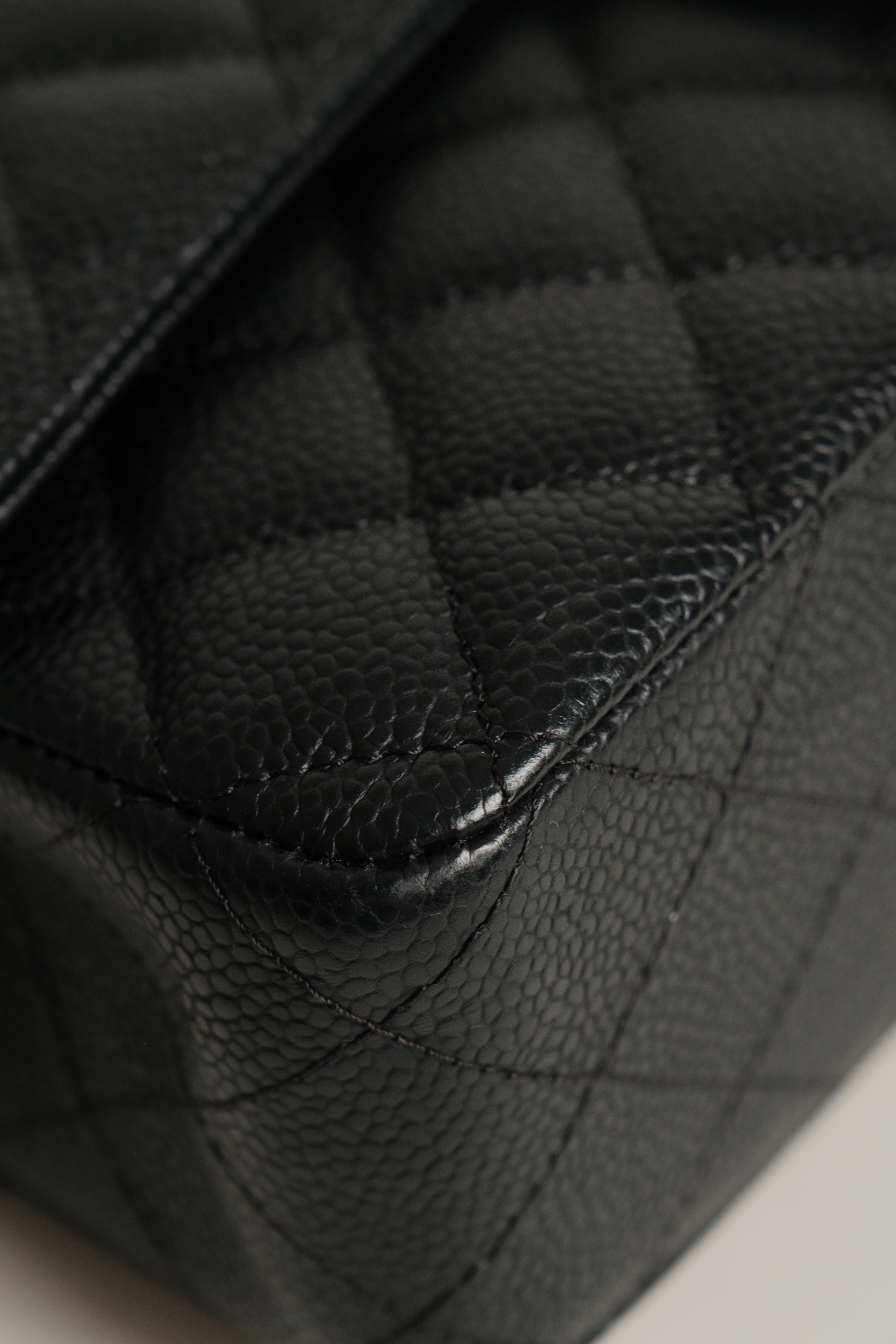 Classic Medium double Flap Microchipped