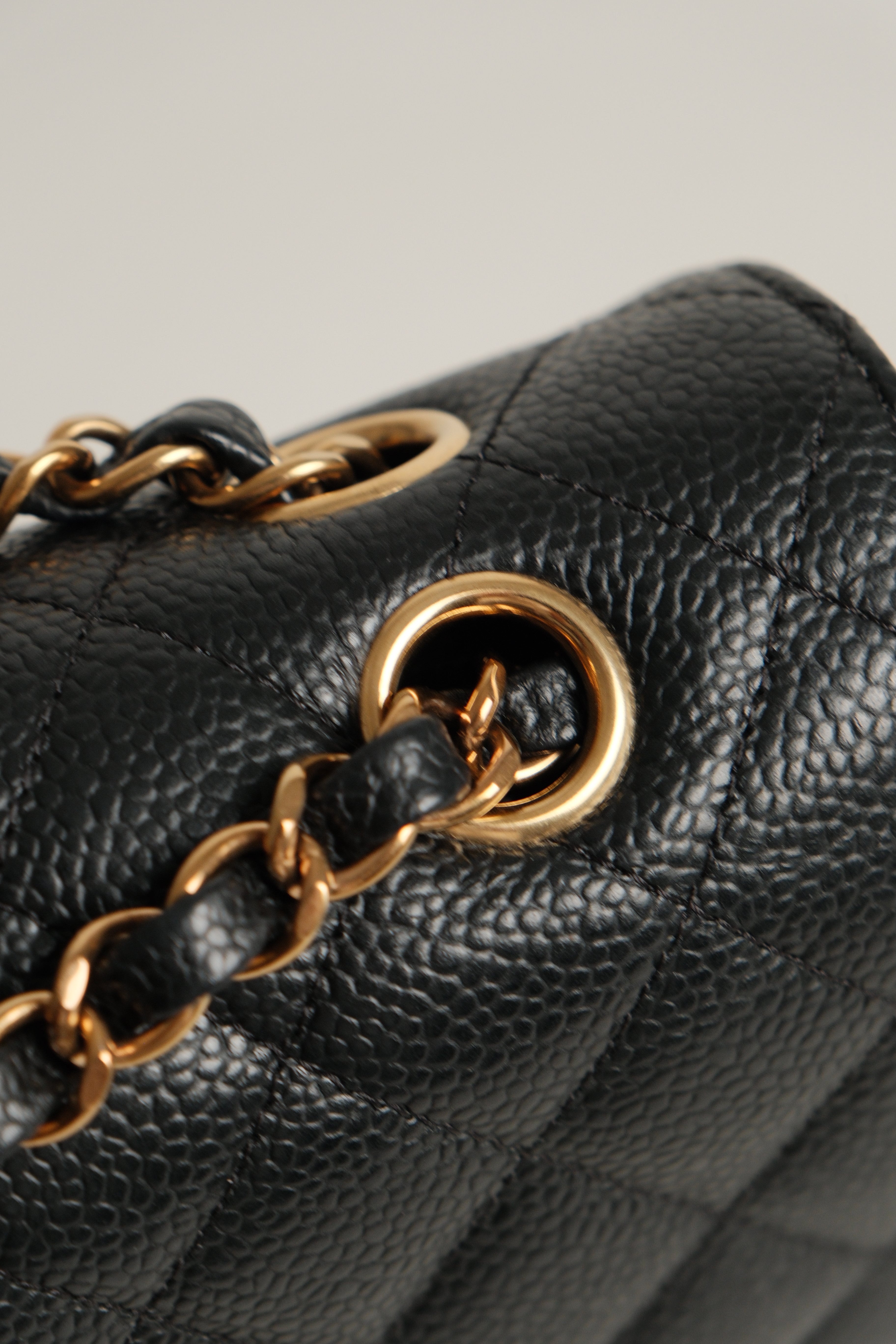 Classic Medium double Flap Microchipped