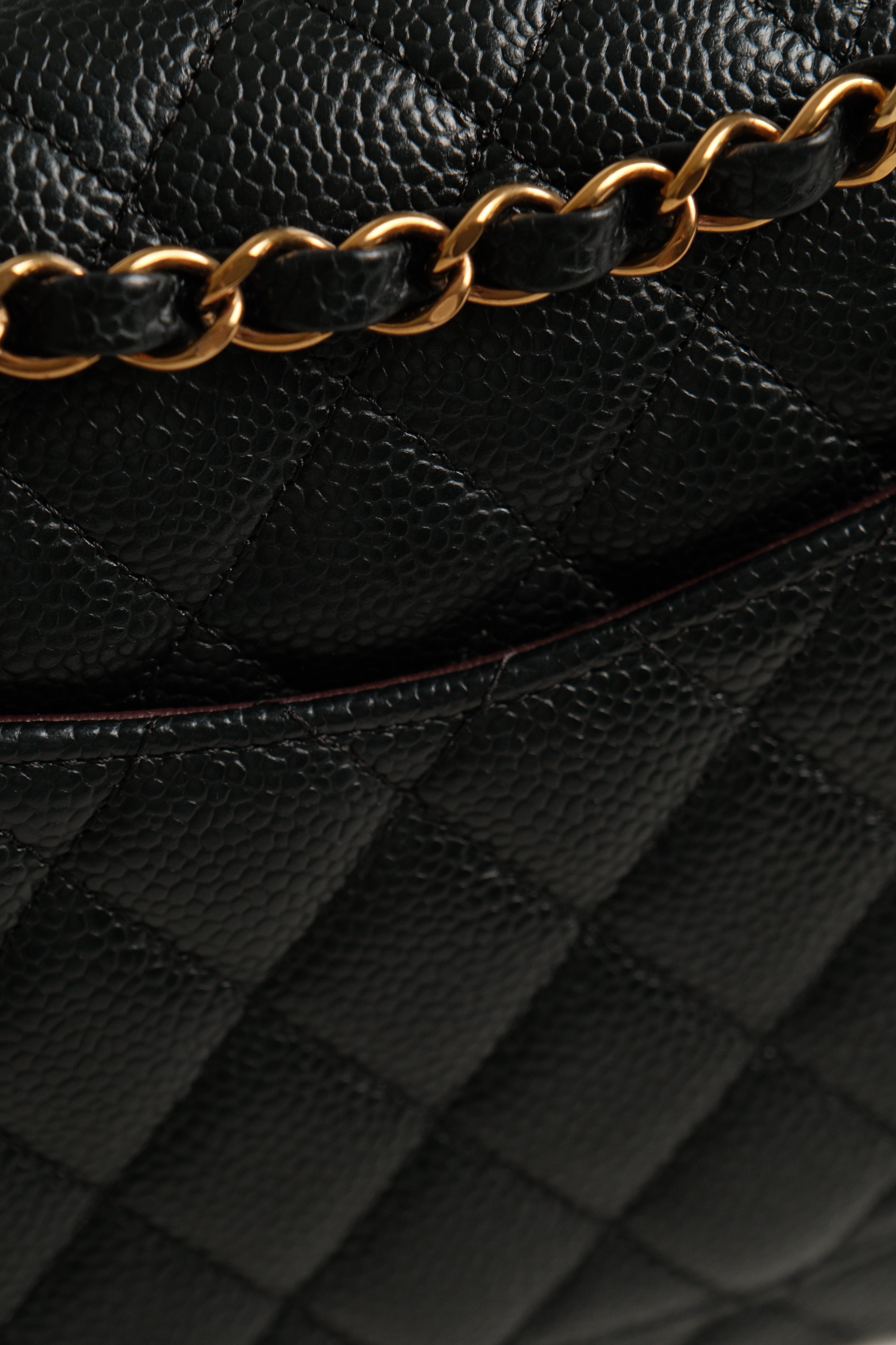 Classic Medium double Flap Microchipped