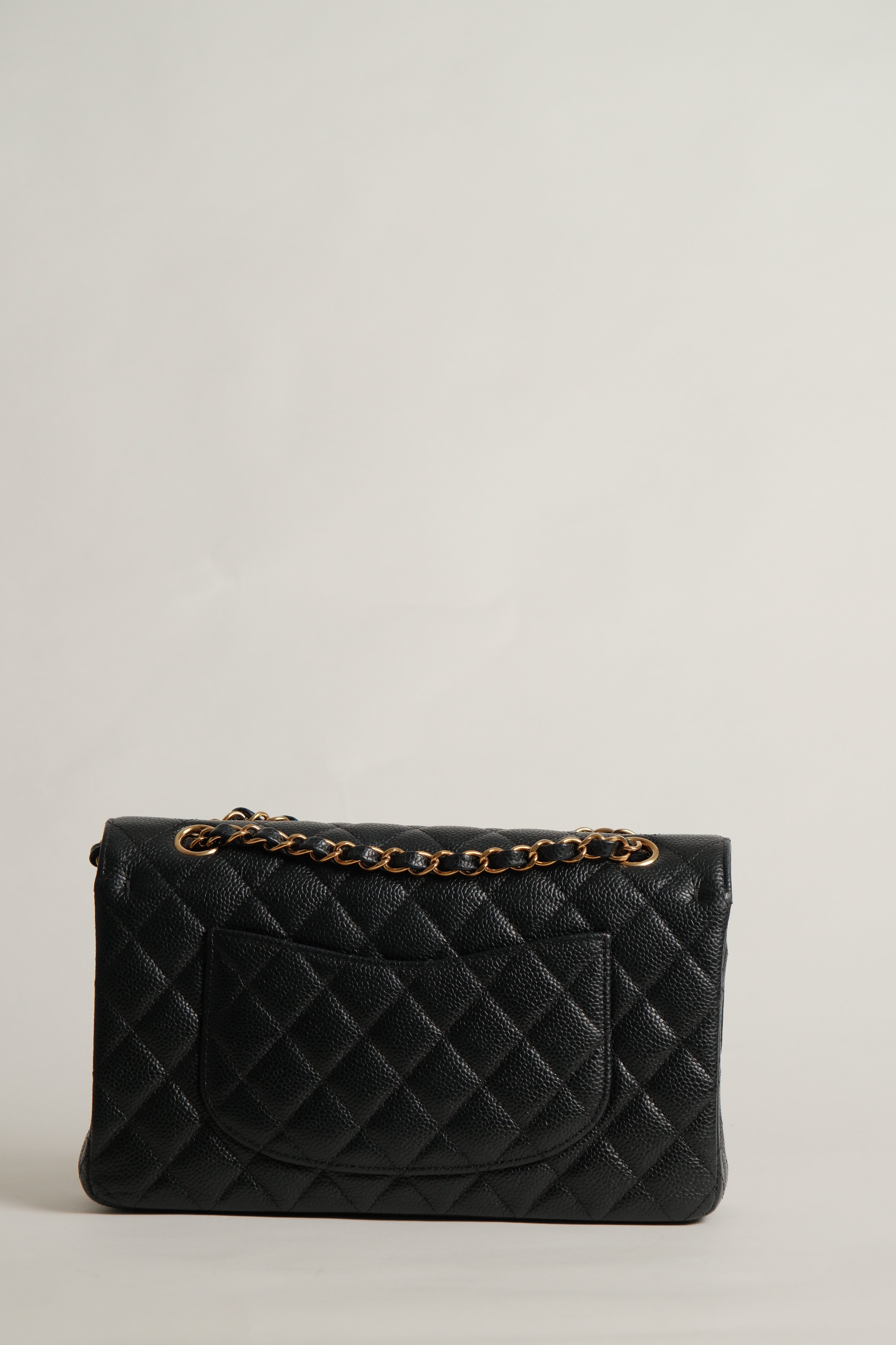 Classic Medium double Flap Microchipped