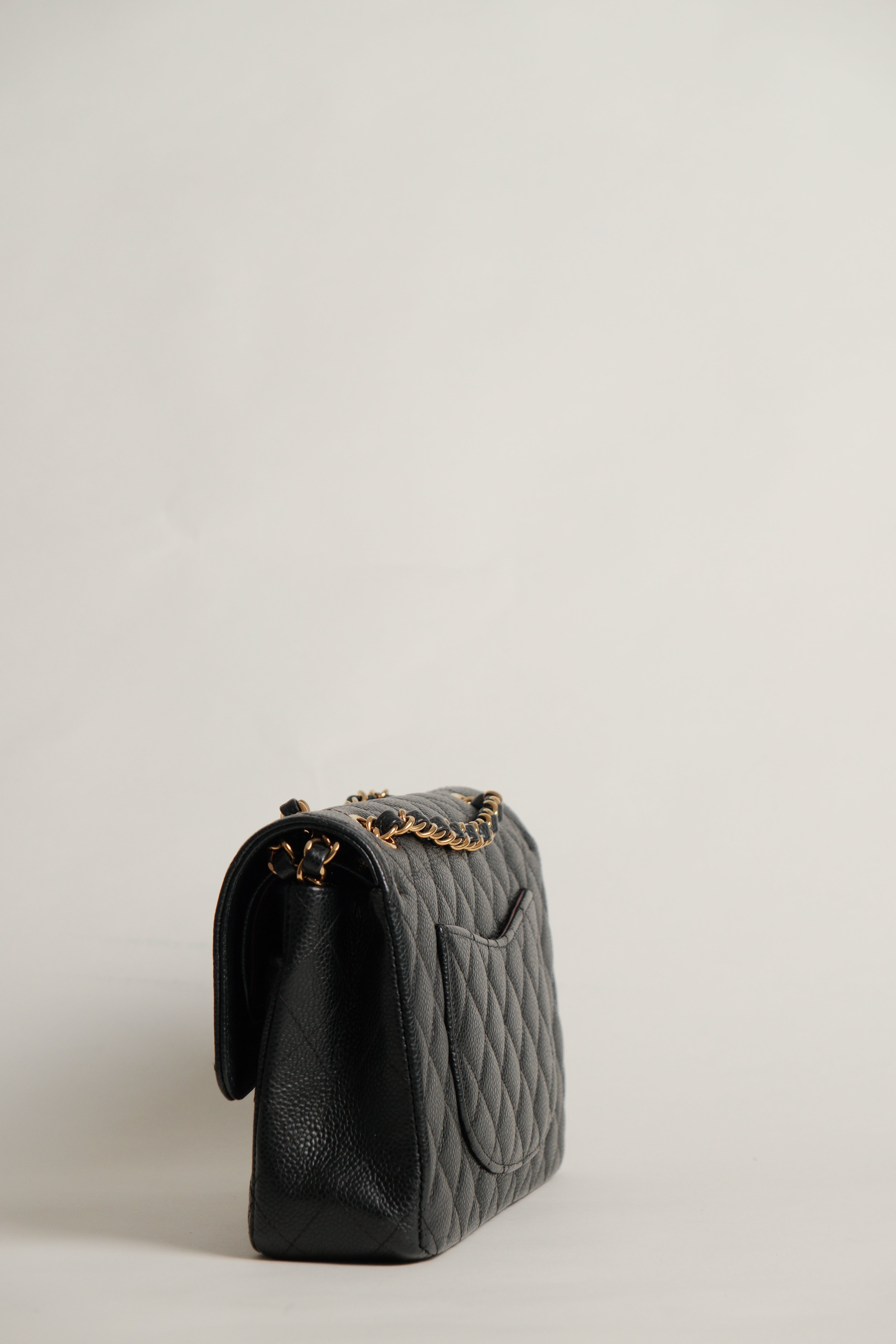 Classic Medium double Flap Microchipped