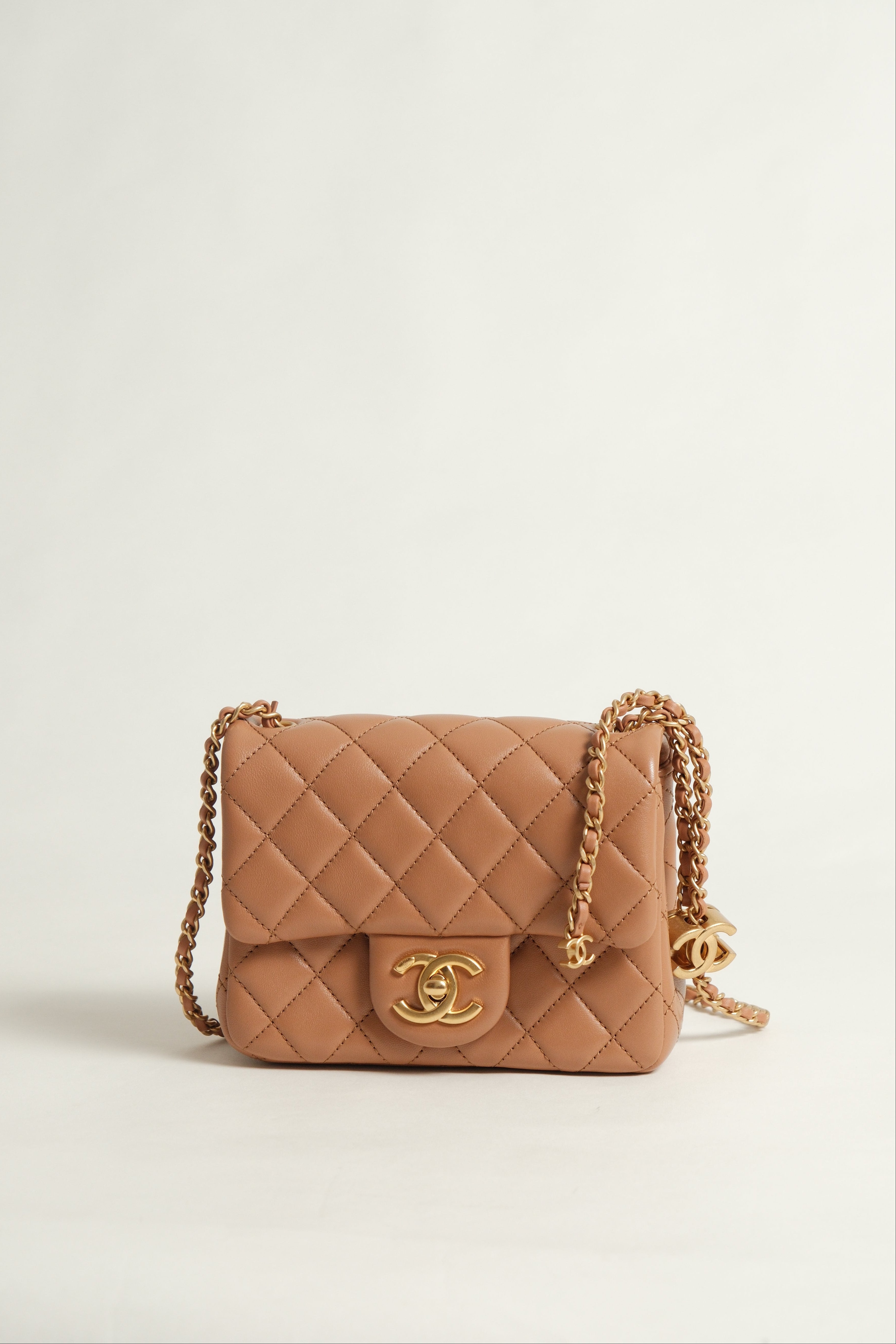 Mini Flap - CC Crush Adjustable Strap