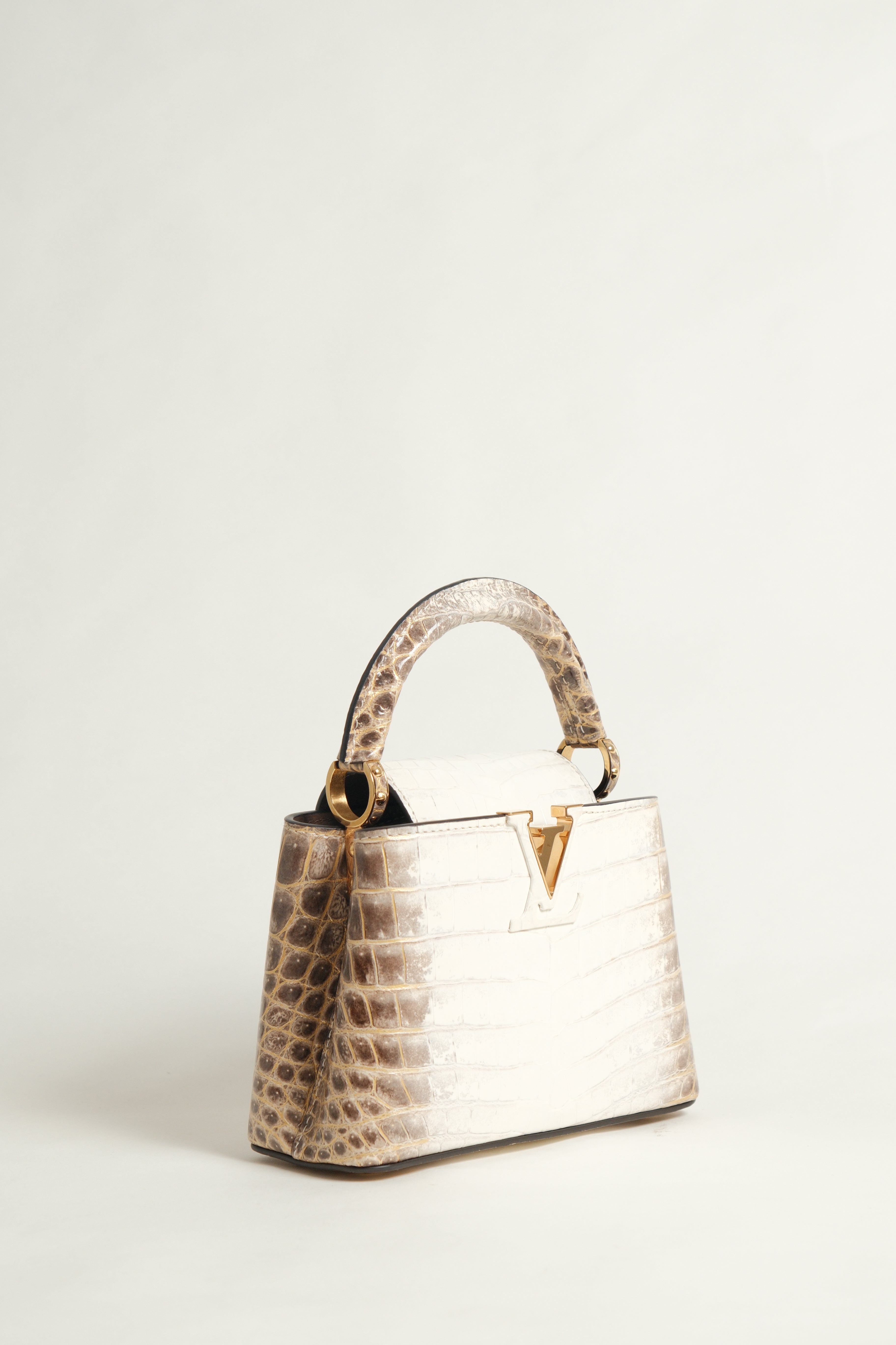 Mini Capucines Himalaya