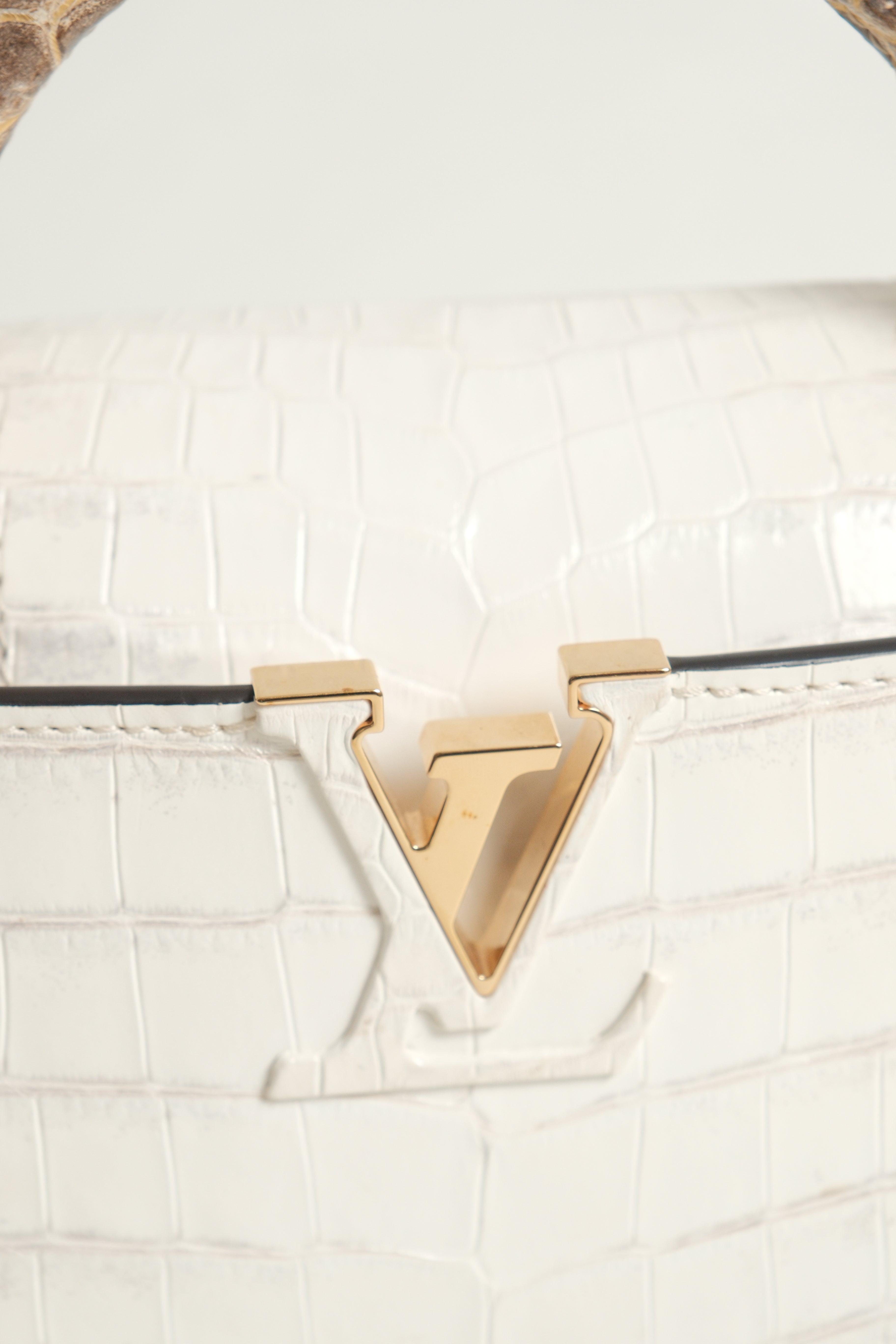 Mini Capucines Himalaya